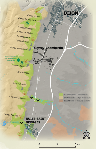 Carte Site Natura 2000 Côte Dijonnaise